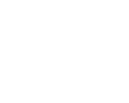 Jungle Water